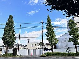 物件画像 杉並区桃井 売地(地下建物付き)