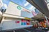 周辺：スギ薬局桜山店 490m