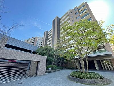 外観:外観 外観:外観