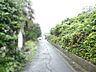 その他：東側道路