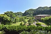 バルコニーからの眺望です。緑の多い環境です。