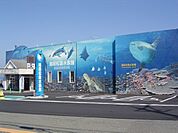 その他「越前松島水族館まで1700m」