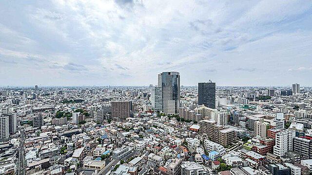 その他 ザ・パークハウス西新宿タワー60 29階/-