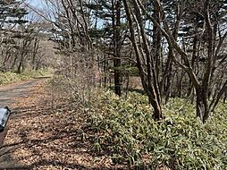 物件画像 那須ハイランド　別荘地