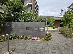 マンションイメージ
