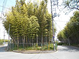 物件画像 石見土地