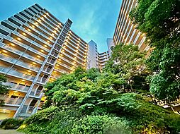 物件画像 三国の川辺の森リバーガーデン