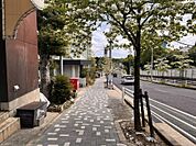 全面道路です。ポストもすぐそばに。