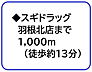 その他：スギドラッグ　羽根北店まで1,000m（徒歩約13分）