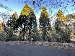 物件画像 霧島田口　売土地