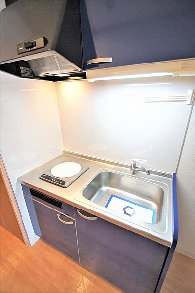 画像11:清潔感のあるキッチンはシンクが広めで収納スペースもあります。