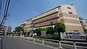 ダイエー成増店 556m