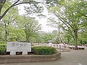 府中の森公園 731m