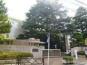 桐朋学園 600m