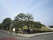 神代植物公園 450m