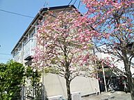 東京都小金井市梶野町5丁目11-20：物件画像／株式会社タウンハウジング東京　武蔵境店