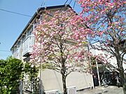 ★南向き日当り住環境良好★