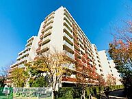 東京都世田谷区太子堂3丁目36-1：物件画像／株式会社タウンハウジング東京　渋谷店