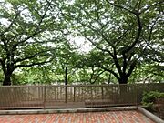 陽当たり良好