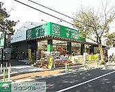 ユニバーサルドラッグ志村坂上店 徒歩7分。ドラックストア 540m