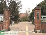 国立東京芸術大学 徒歩8分。大学・短大 600m