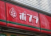 ポプラ 443m