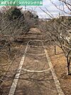 なつのみち公園 952m