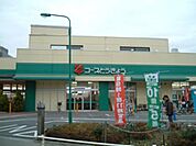 コープみらい柴崎店 594m
