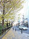 風の散歩道 800m
