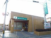 JAマインズ是政支店 764m