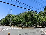 一本松公園 1189m