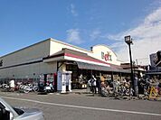 ベルクス北松戸店 220m