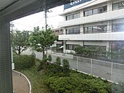 景色です