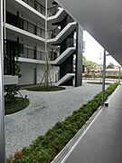 植栽