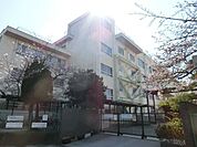 市川市立新井小学校 555m
