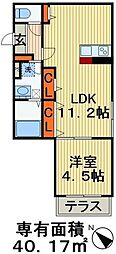 フェリオ・西千葉 1LDKの間取図画像
