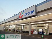 カワチ薬品 630m