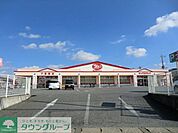 ヤックスドラッグ 500m