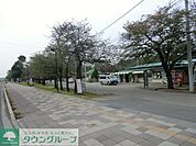 清水公園 400m