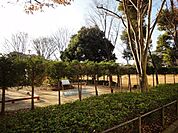 六実中央公園 808m