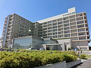 鎌ヶ谷総合病院 557m