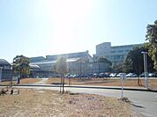 東京芸術大学 5837m