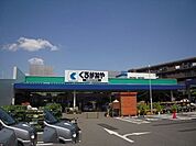 ホームセンターくろがねや調布店 982m