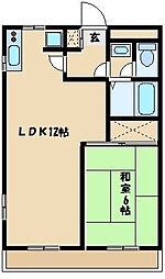 ハイデンス石川 1LDKの間取図画像
