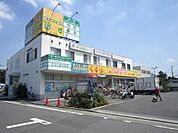 どらっぐぱぱす 937m