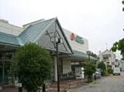 ピーコックストア花小金井店 304m