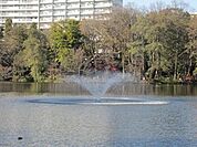 井の頭公園 1900m