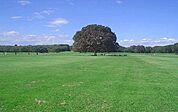 国営昭和記念公園 588m
