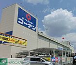 コーナン ぐりーんうぉーく多摩店 徒歩37分。ホームセンター 2960m