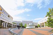 私立実践女子大学 739m